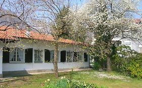 B&B Vaemenia