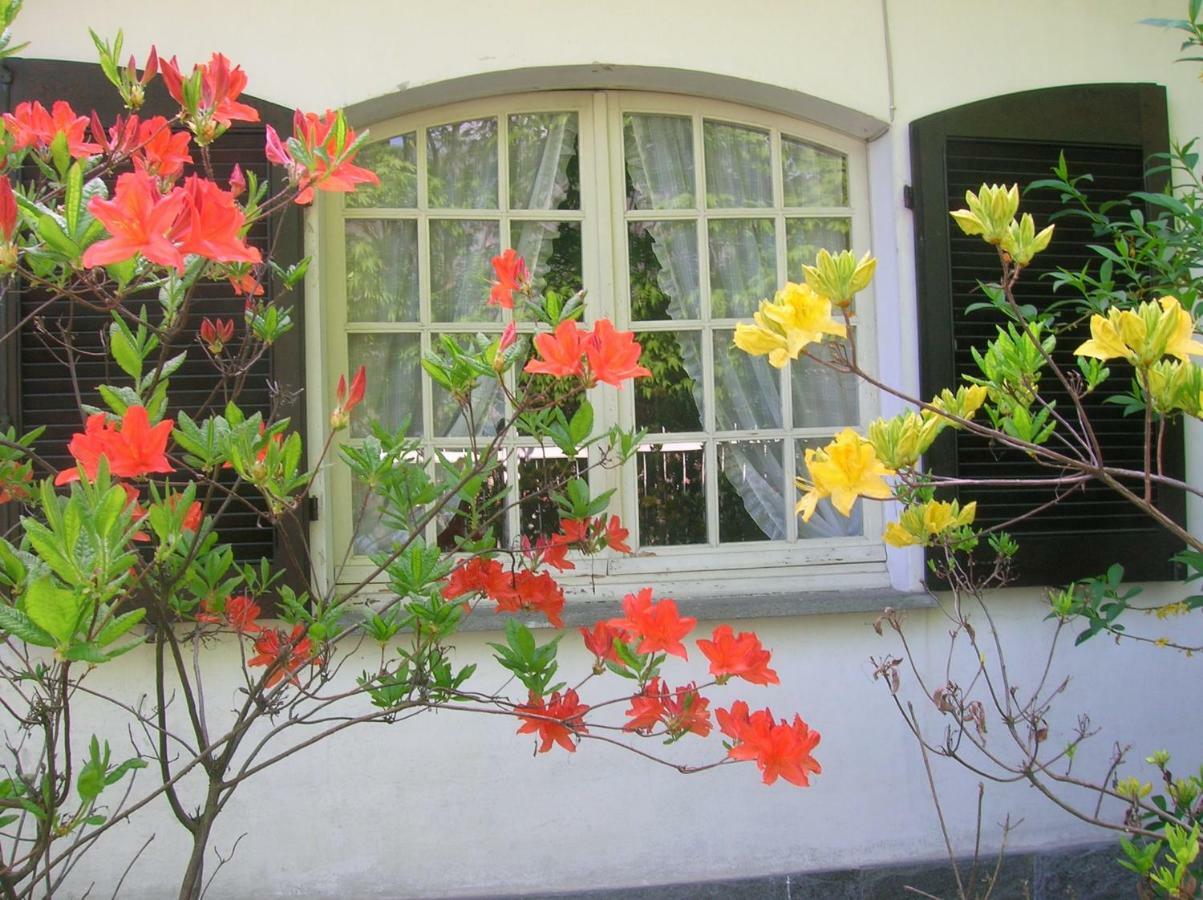 B&B Vaemenia Omegna Buitenkant foto